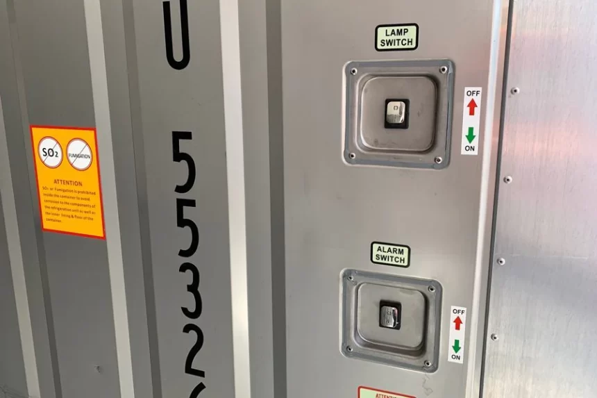 Neue 20-Fuß-Kühlcontainer – Bild 2